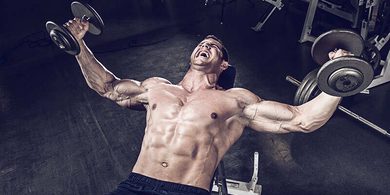 German Volume Training… Not your average GVT article | MuscleTech